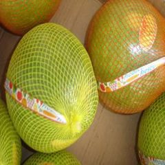 Fresh Pomelo
