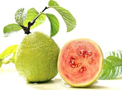Fresh Guava -PINK Flesh