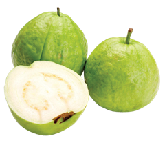 Fresh Guava -White Flesh