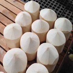 Fresh Young coconut