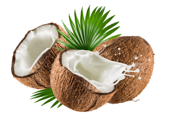 Premium Vietnamese Coconut