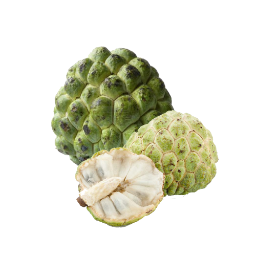 Custard Apple Tree