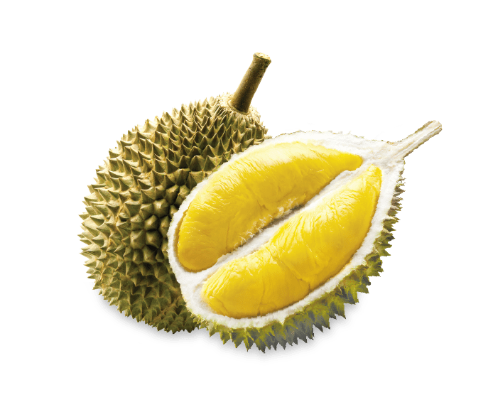 Premium Durian - King of Fruits