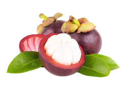 Opened Mangosteen