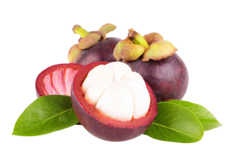 Mangosteen