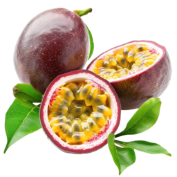 Premium Fresh Passion Fruit