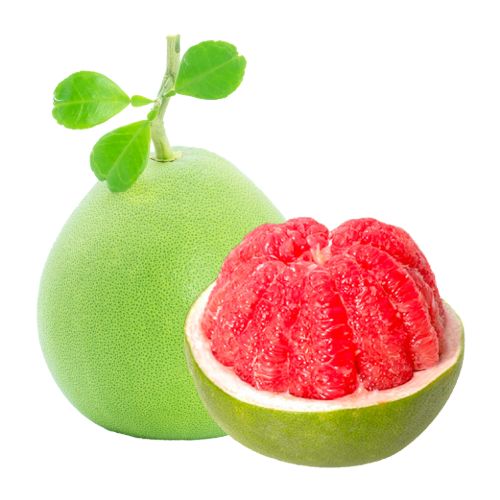 Premium Vietnamese Pomelo