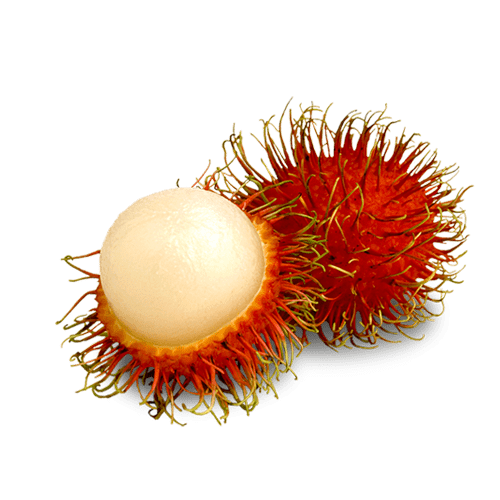 Rambutan view 2